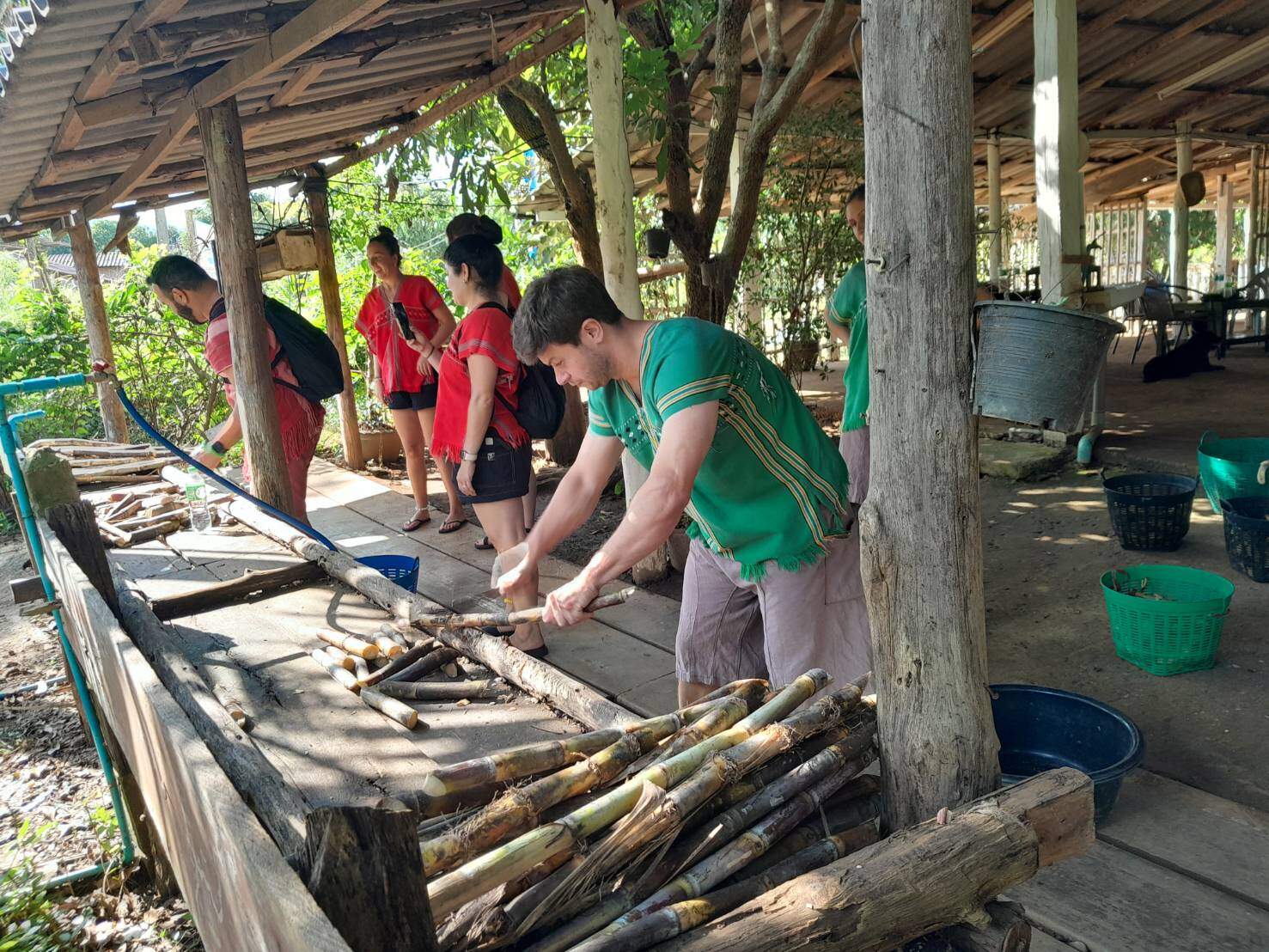 Prepare Elephant Food