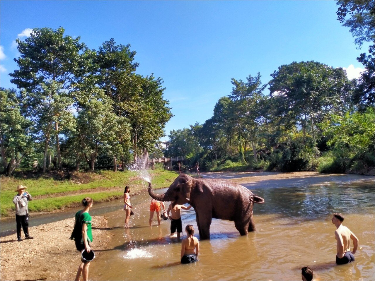 Elephant Bliss Full Day Tour photo 3