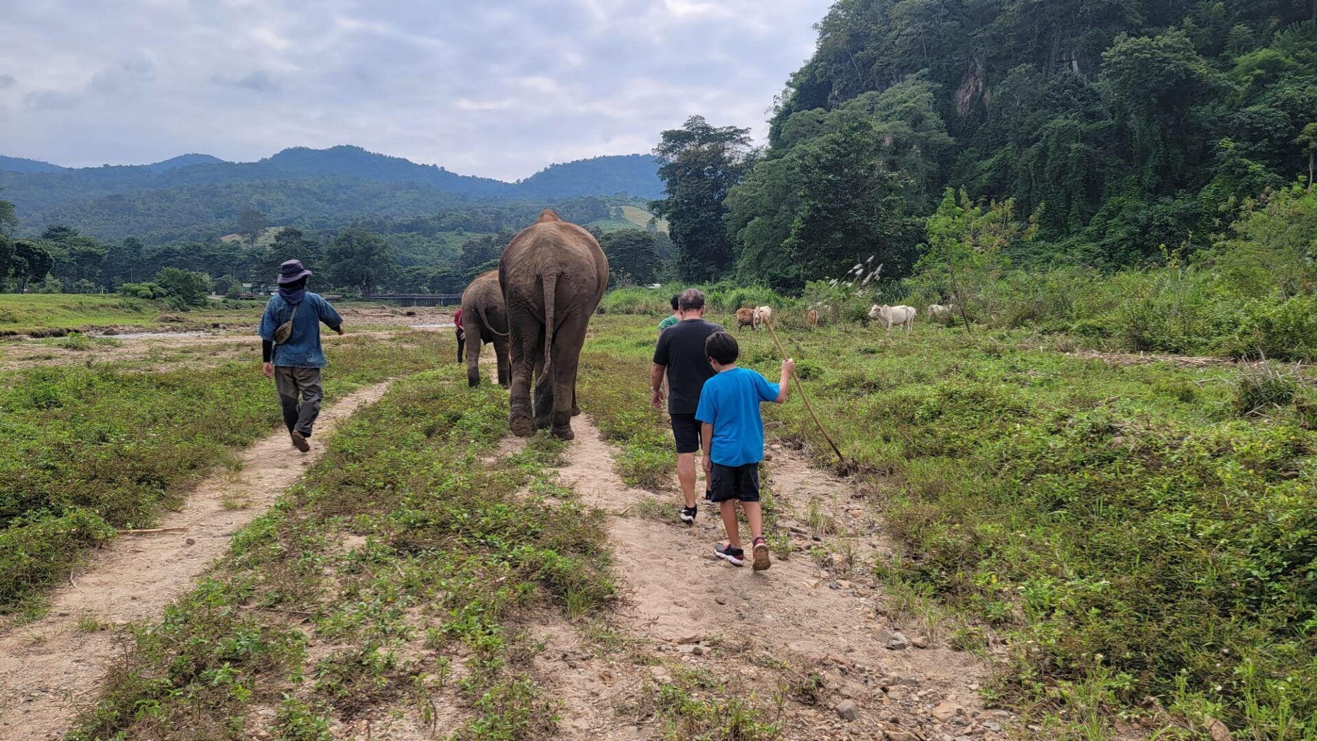 Elephant Bliss Full Day Tour photo 4