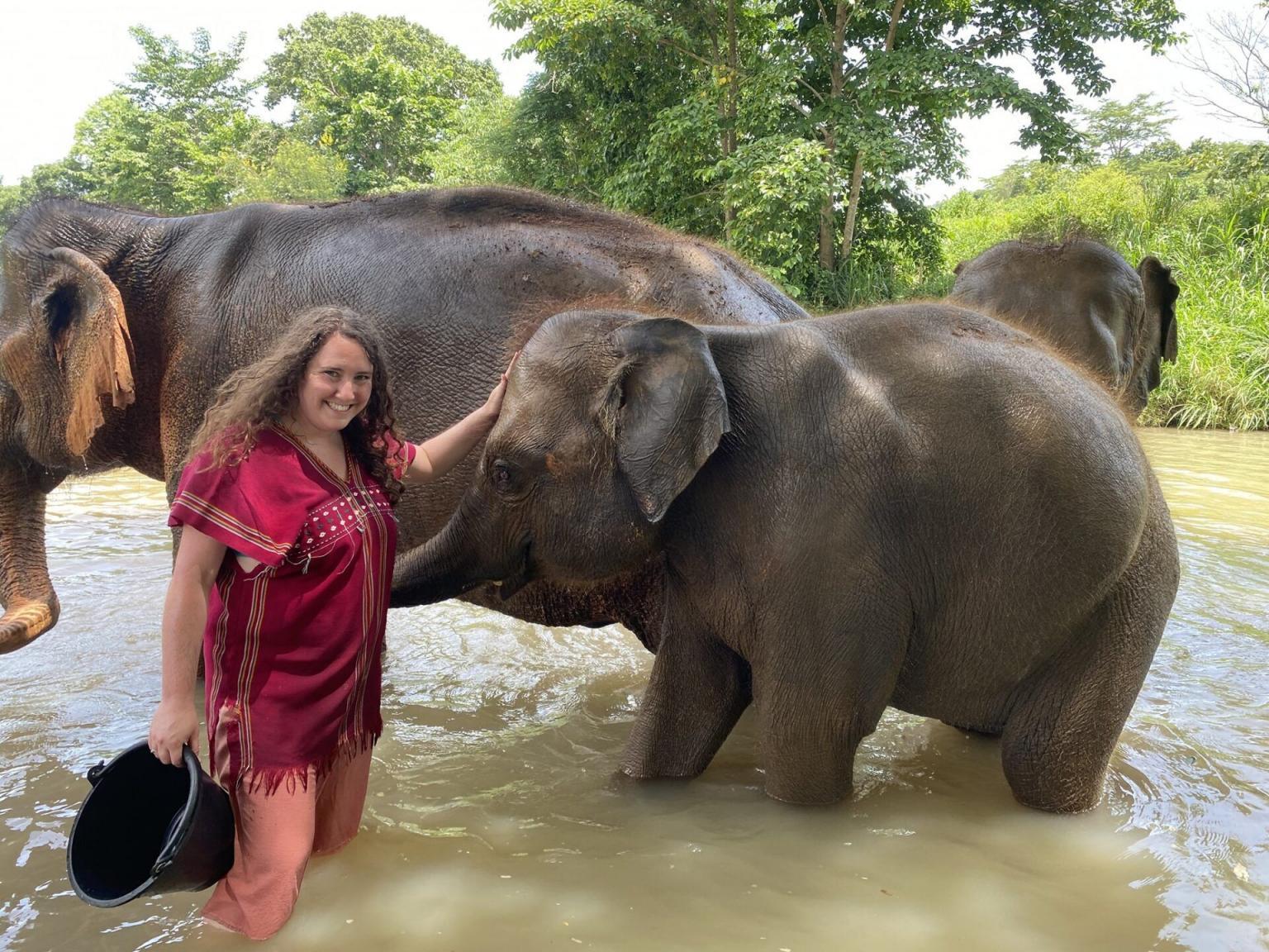 Bathing with Elephants