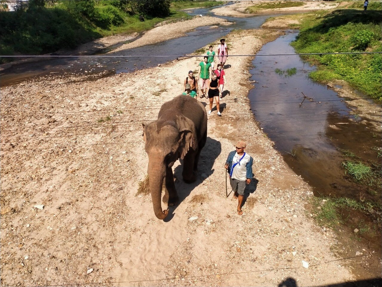 Elephant Bliss Full Day Tour photo 5
