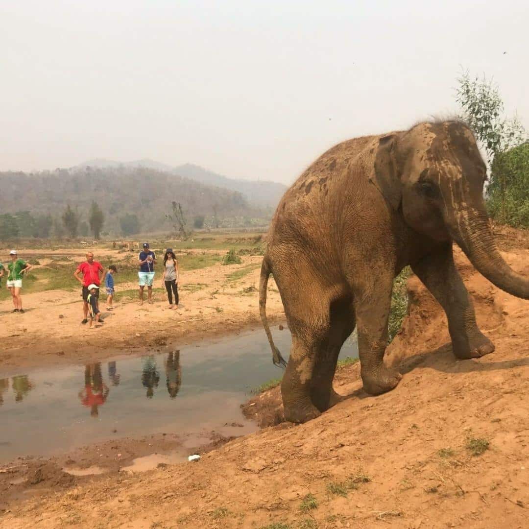 Elephant River Hike photo 1