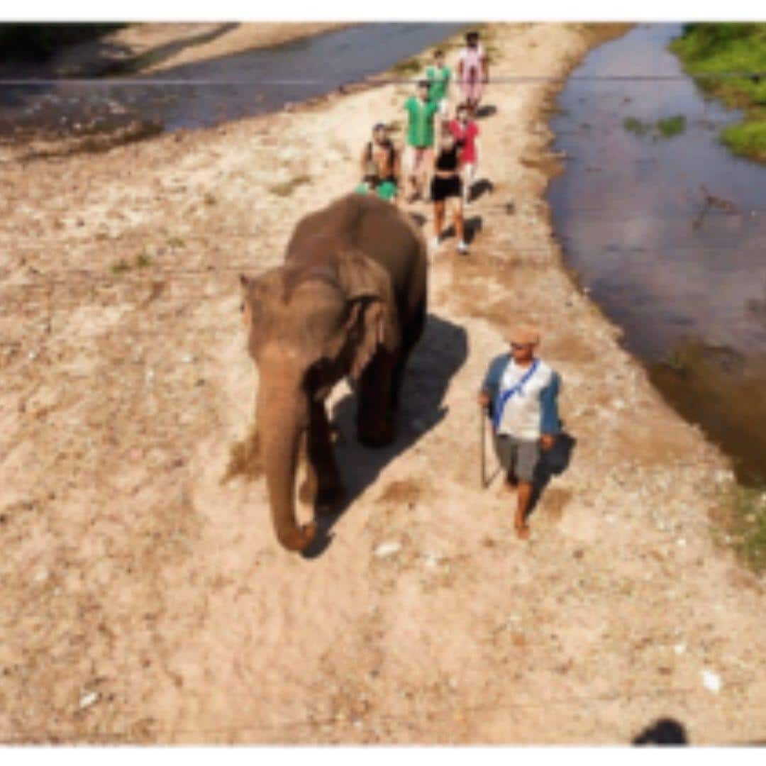 Elephant River Hike photo 3