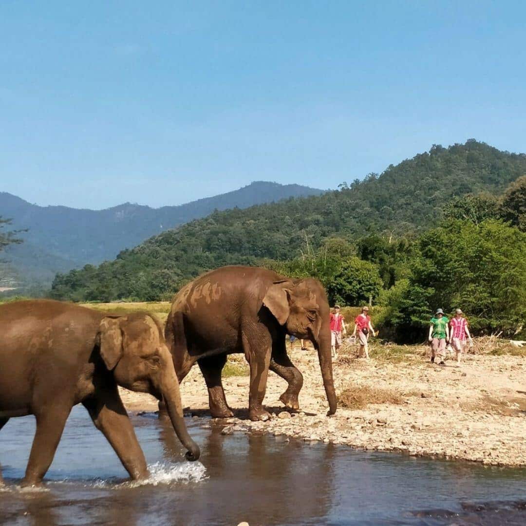 Elephant River Hike photo 5