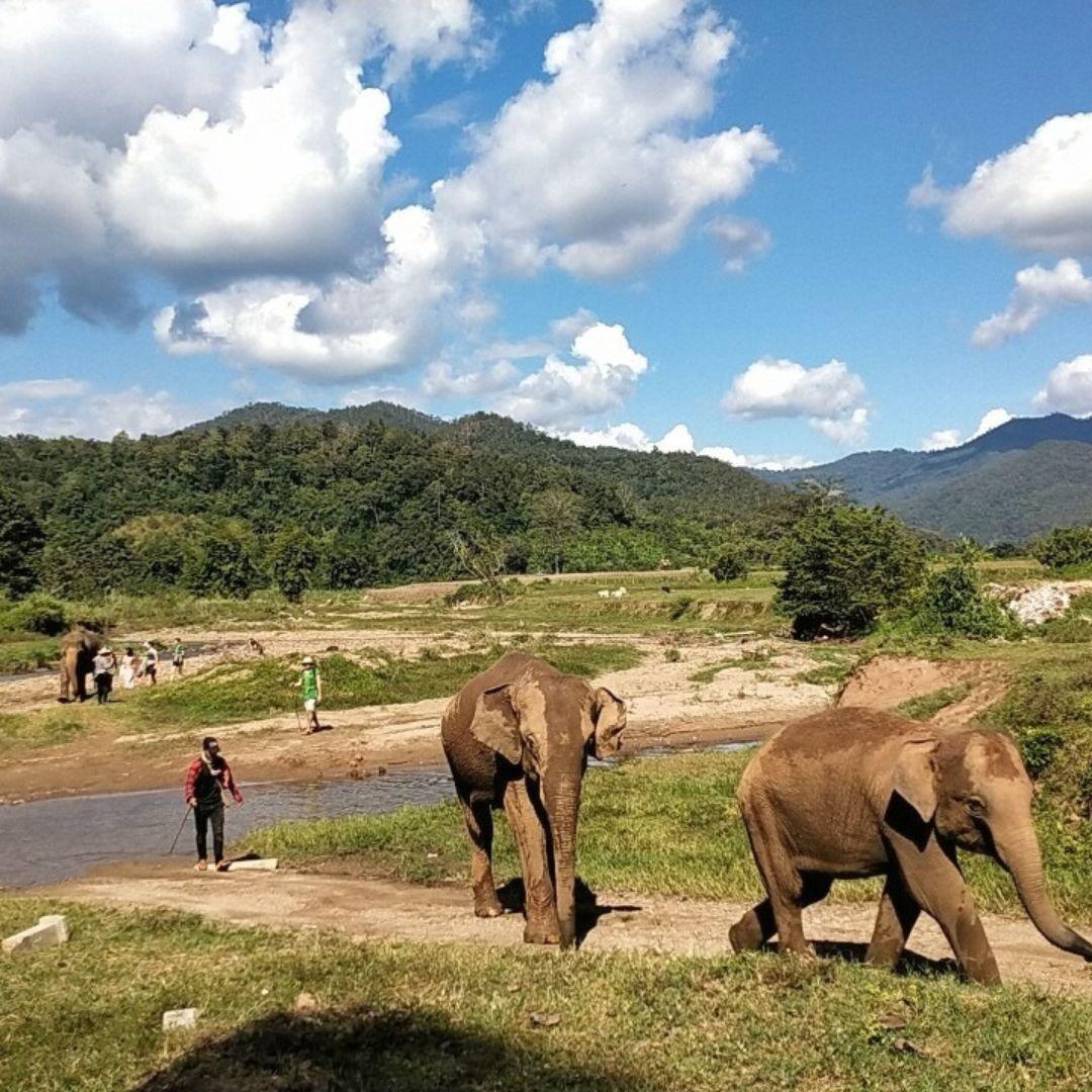 Elephant River Hike photo 6