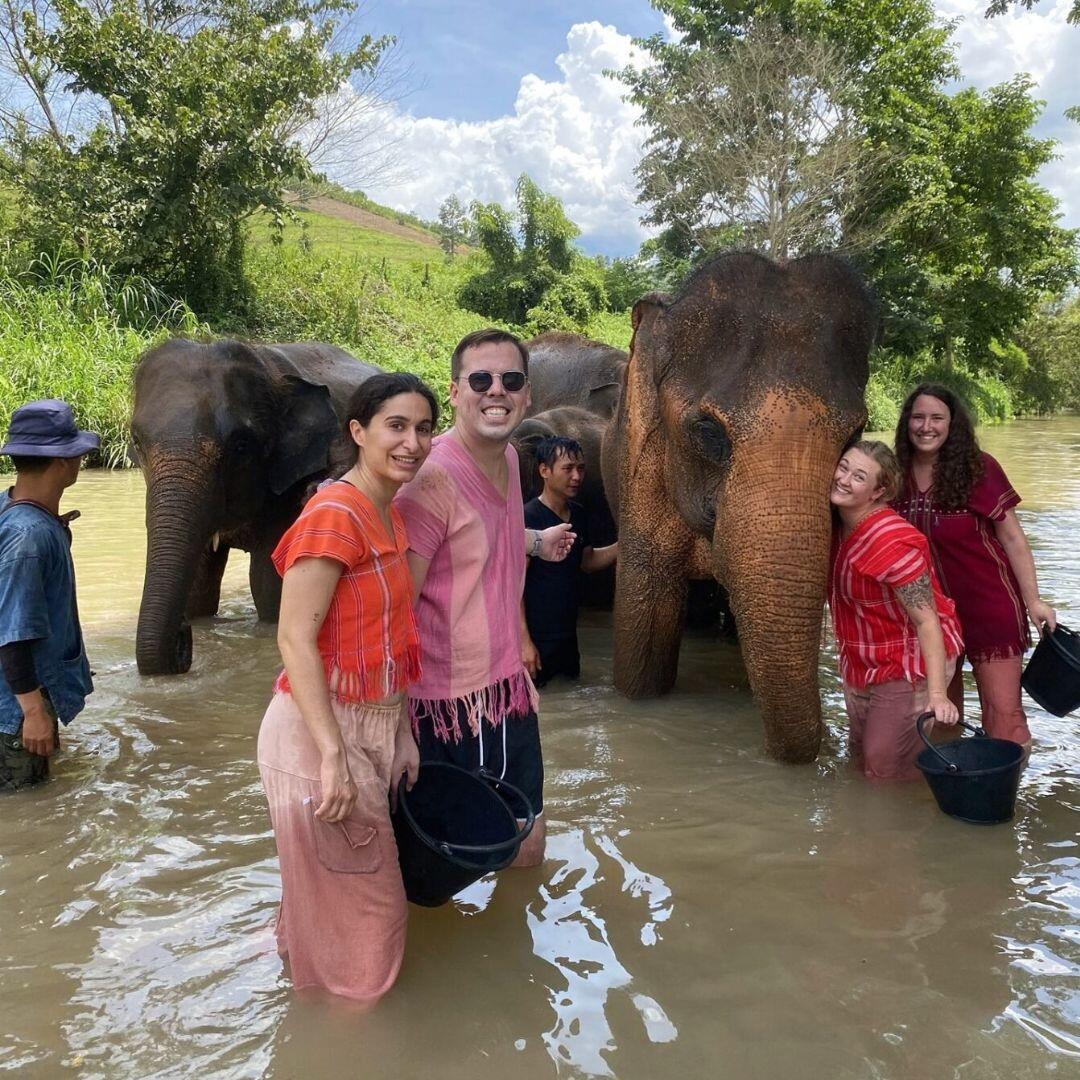 Elephant Swimming & Bathing photo 2