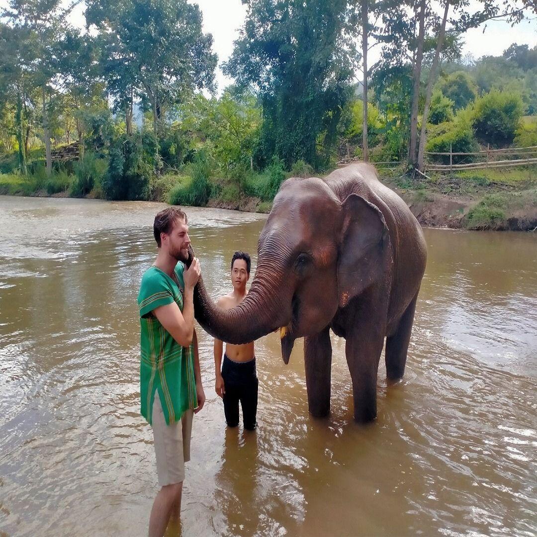 Elephant Swimming & Bathing photo 3
