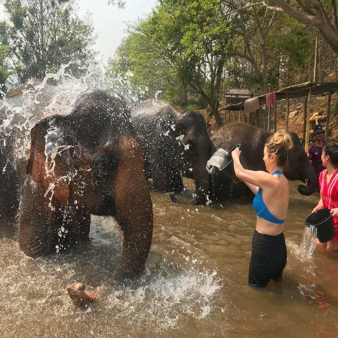 Elephant Swimming & Bathing photo 4