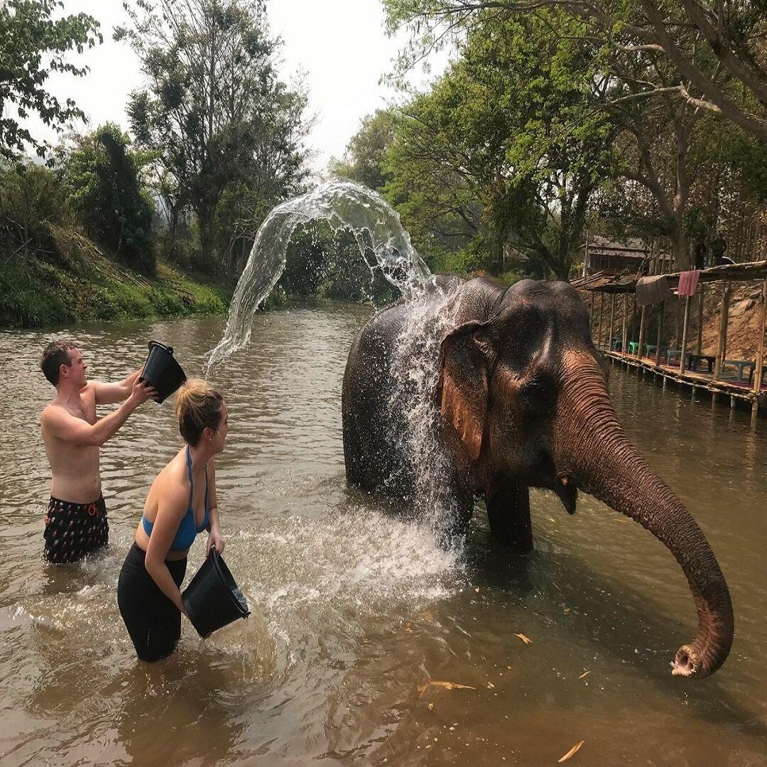 Elephant Swimming & Bathing photo 6