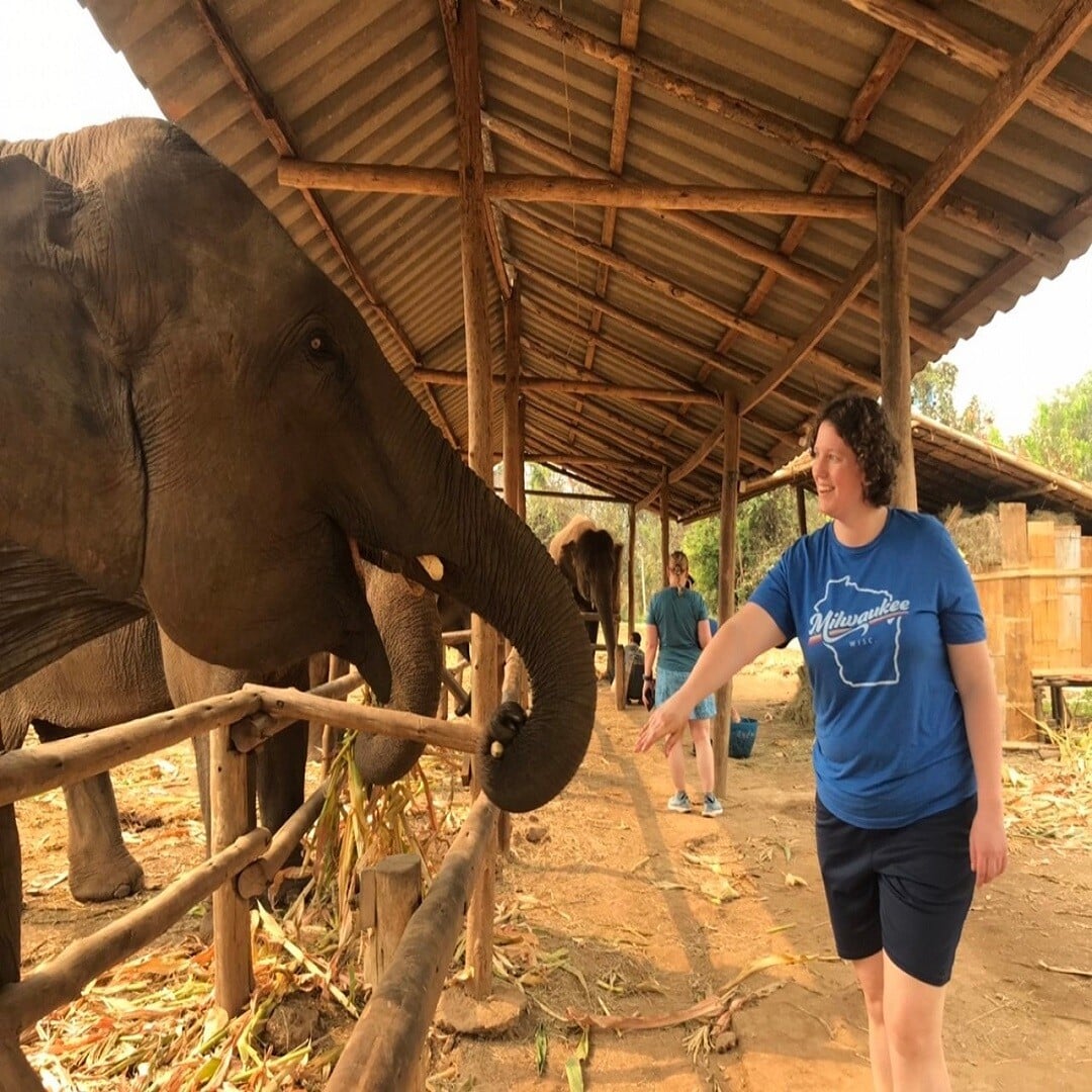 Feed The Supplements To The Elephants photo 2