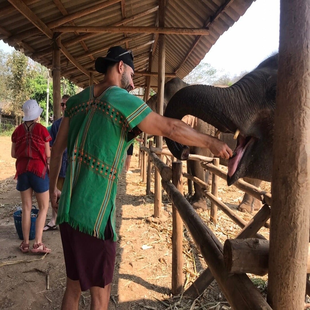Feed The Supplements To The Elephants photo 3