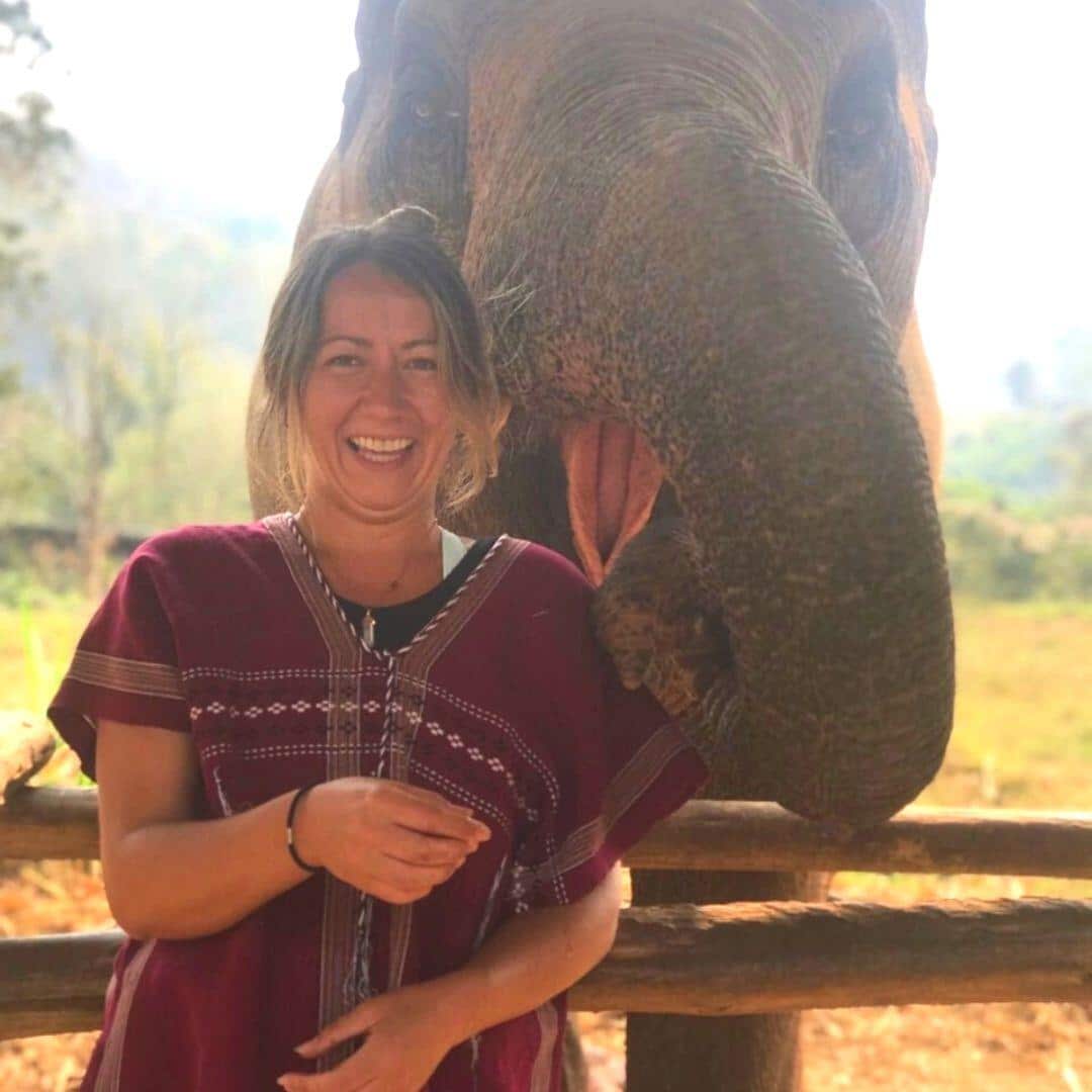 Feed The Supplements To The Elephants photo 4