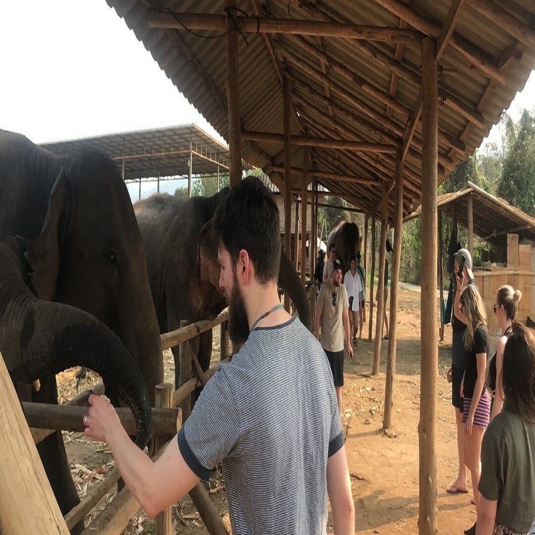 Feed The Supplements To The Elephants photo 5