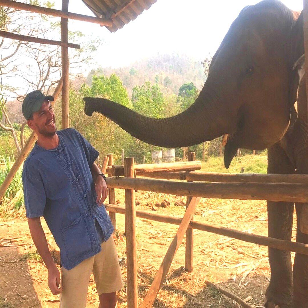 Feed The Supplements To The Elephants photo 6