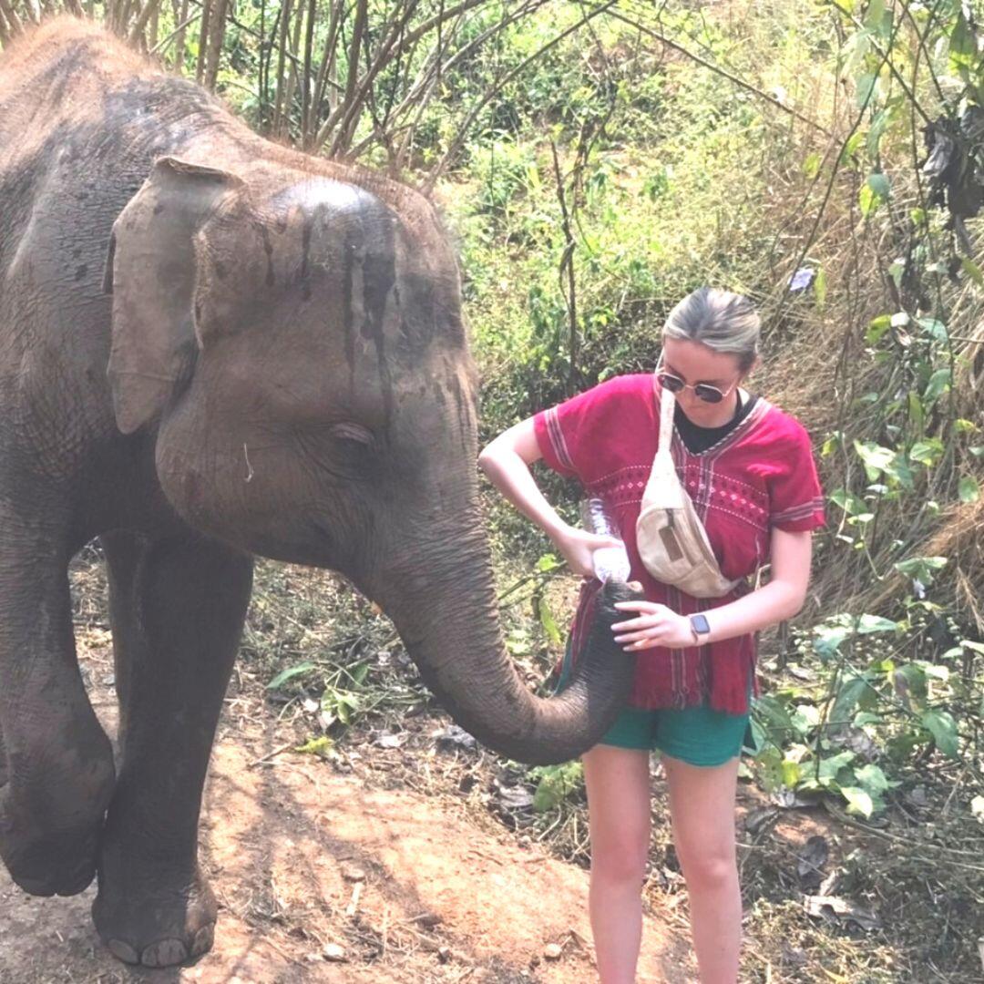 Elephant Jungle Hike photo 5