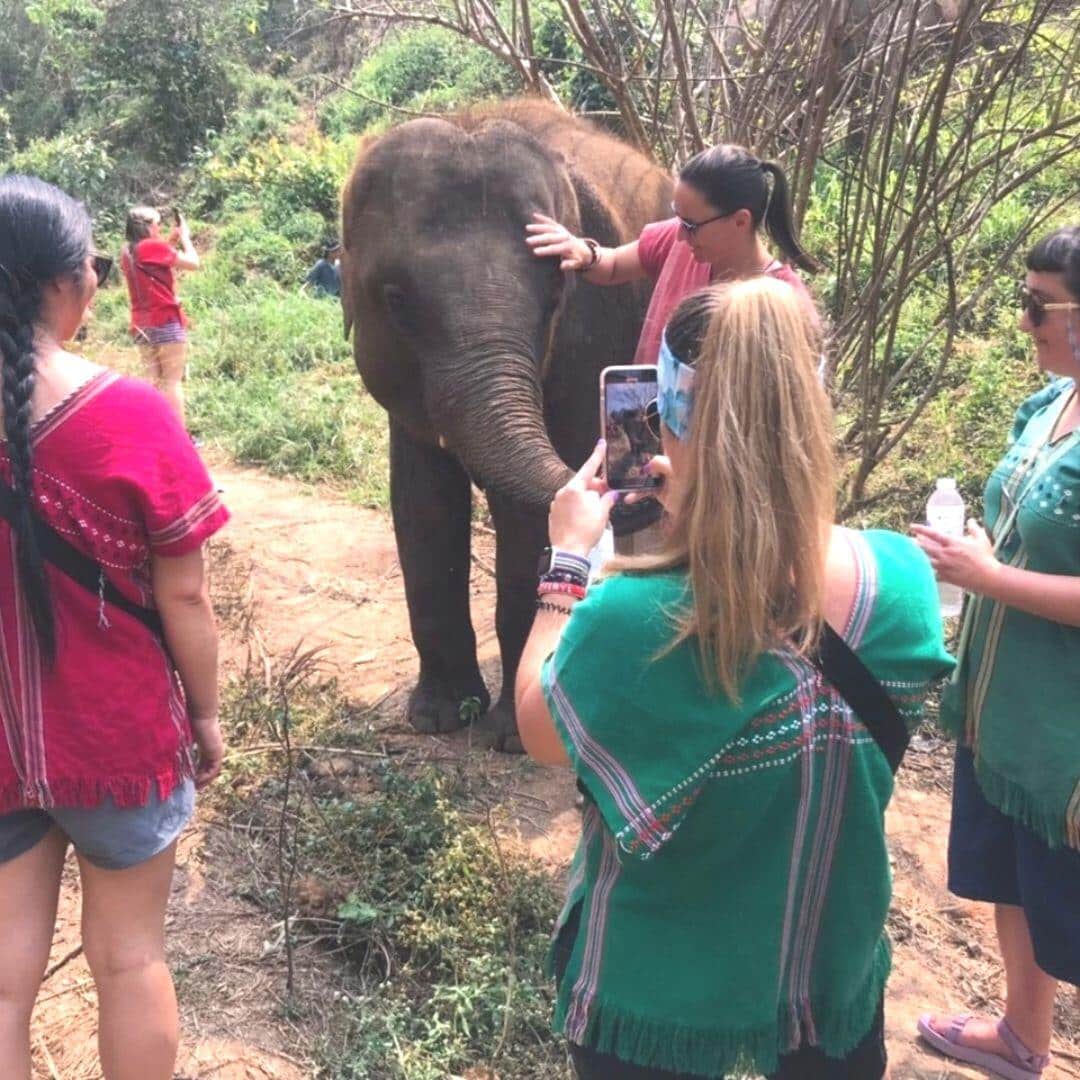 Elephant Jungle Hike photo 6