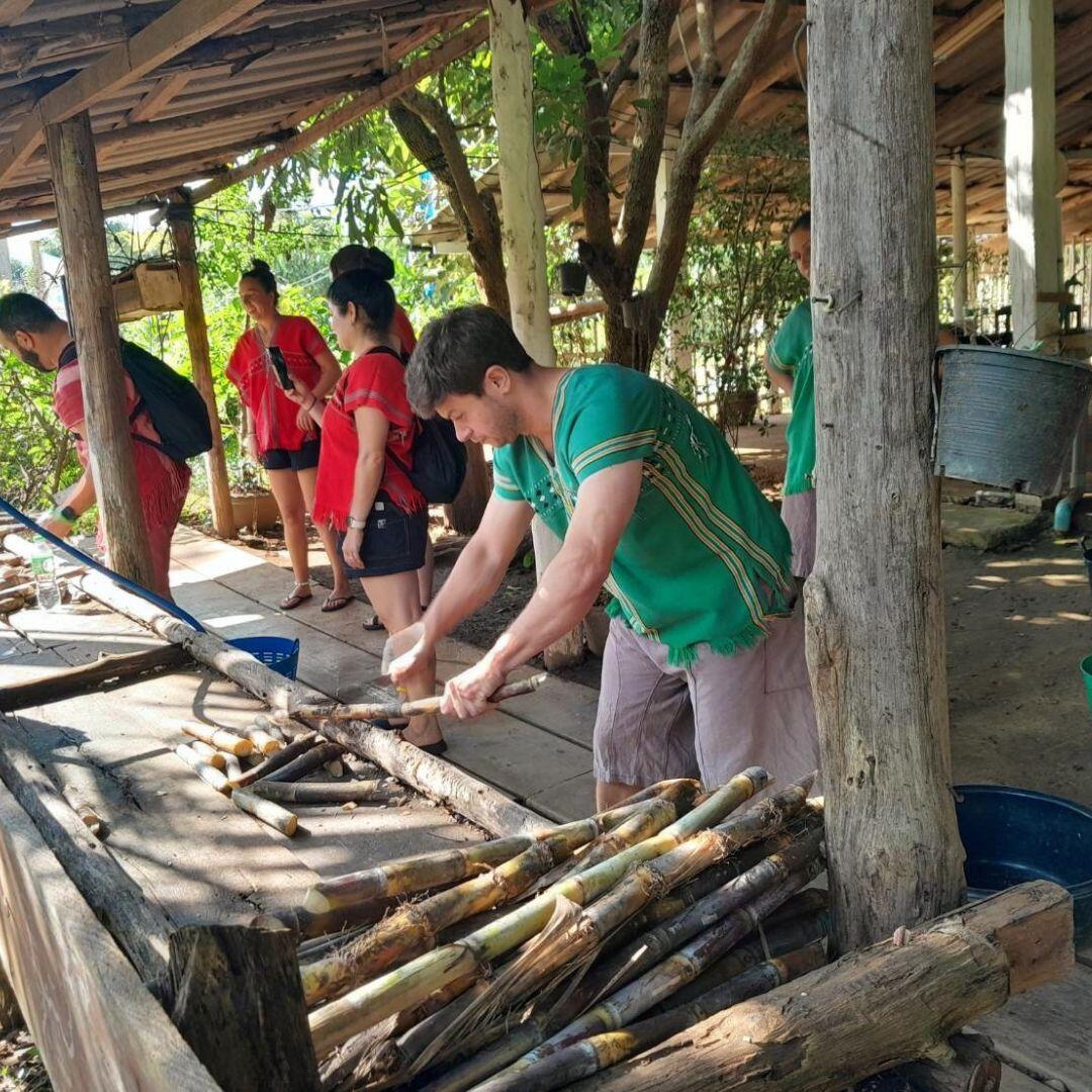 Prepare The Feast & Feed The Elephants photo 3