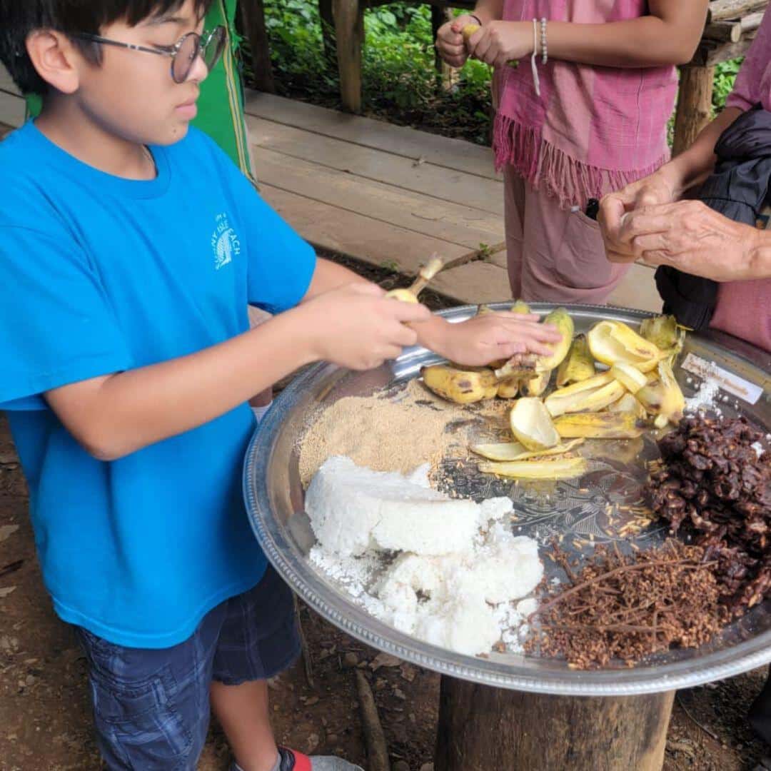 Elephant Cooking Class (Supplements & Vitamins) photo 3
